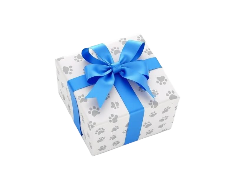 Gift box with blue ribbon